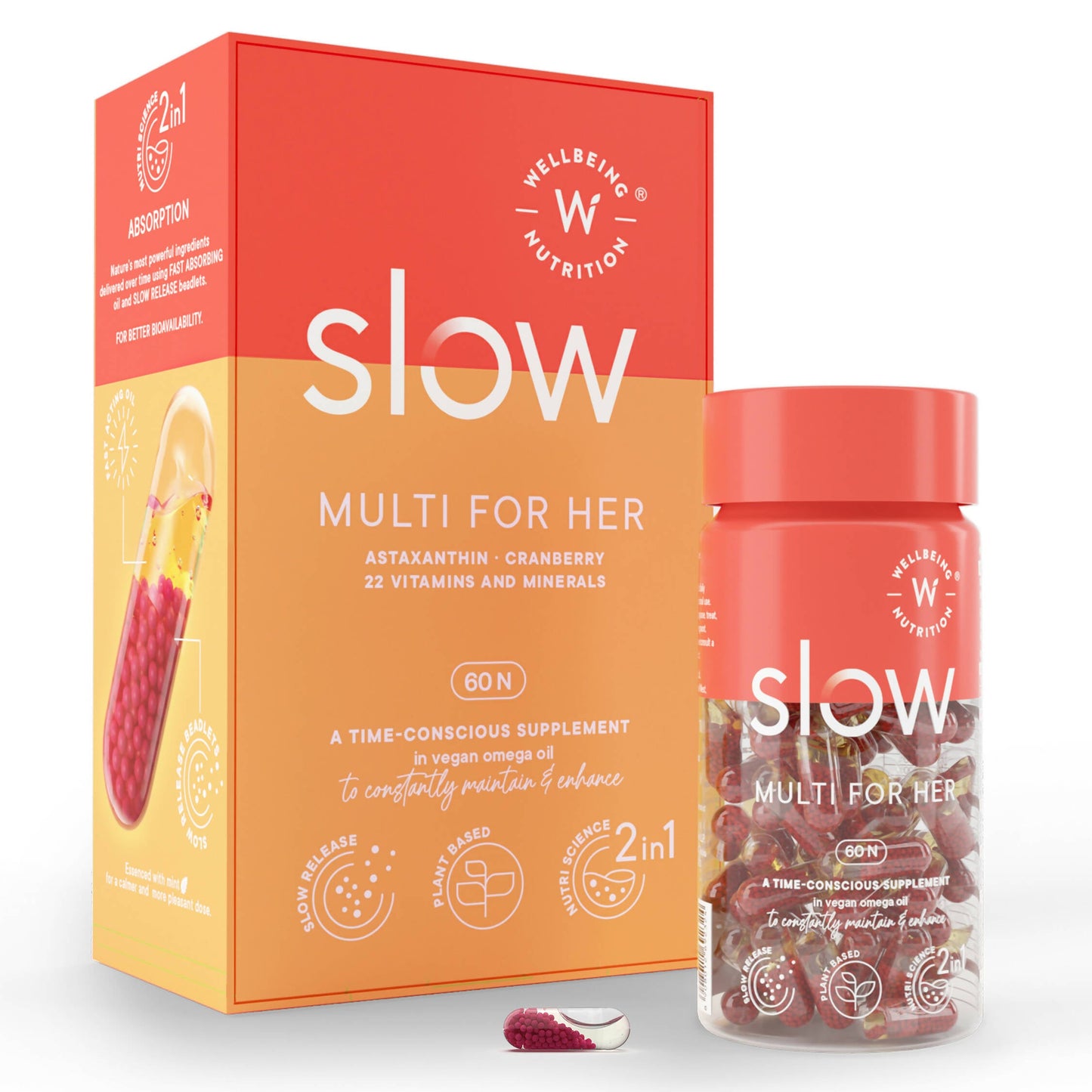 https://cdn.shopify.com/s/files/1/1857/6931/products/FN4GaXVXdx.jpg?v=1678792481