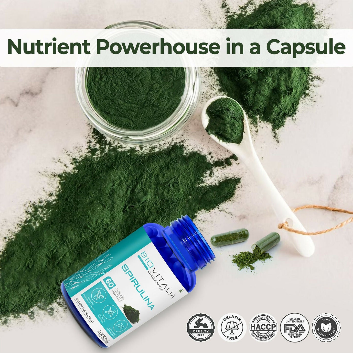 https://cdn.shopify.com/s/files/1/1857/6931/files/FPjFDsjeBg.jpg?v=1727415657