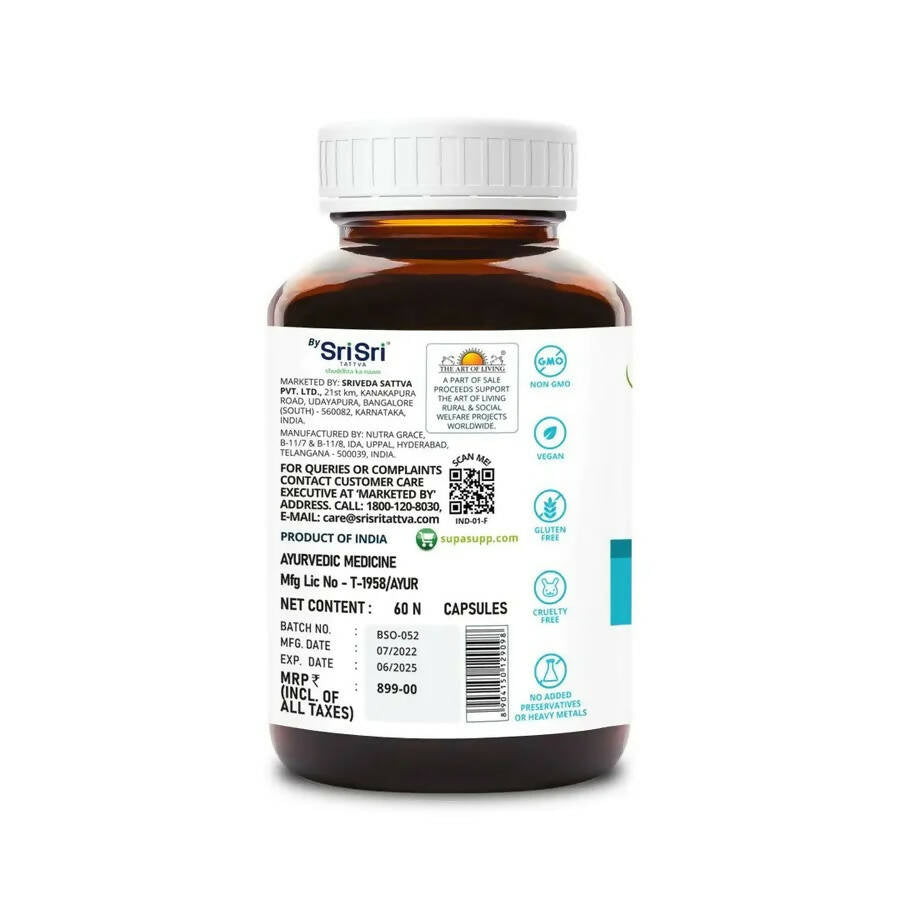 https://cdn.shopify.com/s/files/1/1857/6931/products/FTkRTbjMTB.jpg?v=1665568795