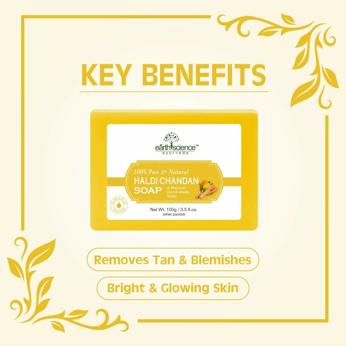 https://cdn.shopify.com/s/files/1/1857/6931/files/FXQOhxTRXe.jpg?v=1732017518