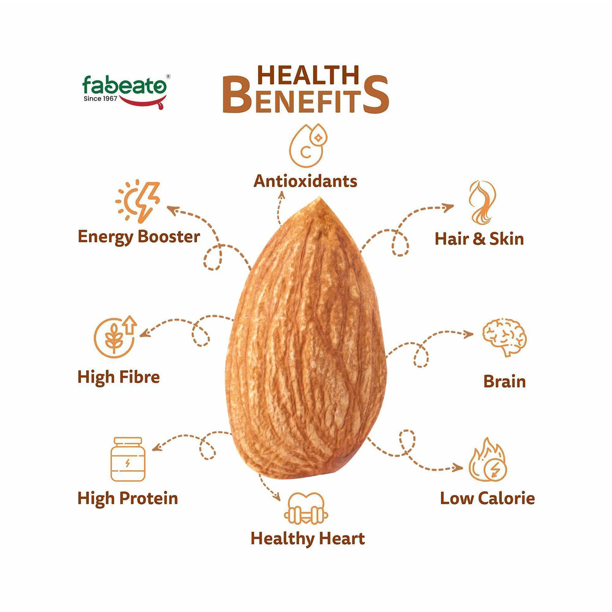 Image 5 of Fabeato Premium Dry Fruits and Nuts Combo