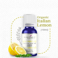 https://cdn.shopify.com/s/files/1/1857/6931/products/Fahhsnmdgx.jpg?v=1623983713