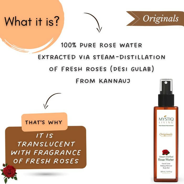 https://cdn.shopify.com/s/files/1/1857/6931/products/Fc0ErqALNZ.jpg?v=1664015886