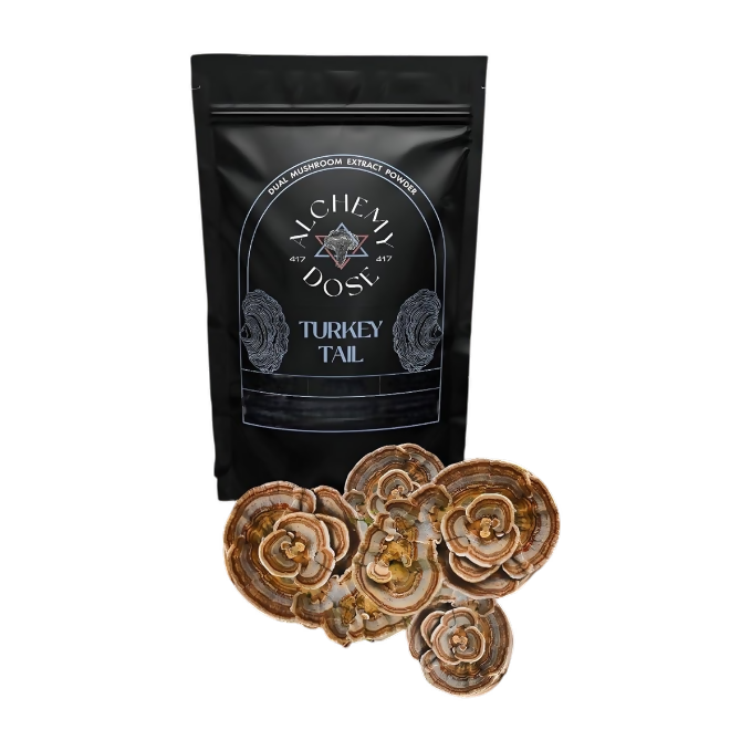 https://cdn.shopify.com/s/files/1/1857/6931/files/FcMoQLRTrD.png?v=1776767768