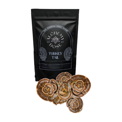 https://cdn.shopify.com/s/files/1/1857/6931/files/FcMoQLRTrD.png?v=1776767768