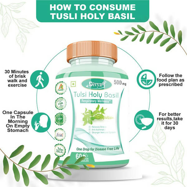 https://cdn.shopify.com/s/files/1/1857/6931/products/FeKmIkv0ve.jpg?v=1672210128