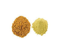 https://cdn.shopify.com/s/files/1/1857/6931/products/FenugreekPowder_Methi_MenthiPowder.jpg?v=1759252265