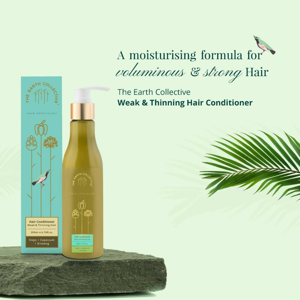 https://cdn.shopify.com/s/files/1/1857/6931/products/FgMpazXHbz.jpg?v=1686546227
