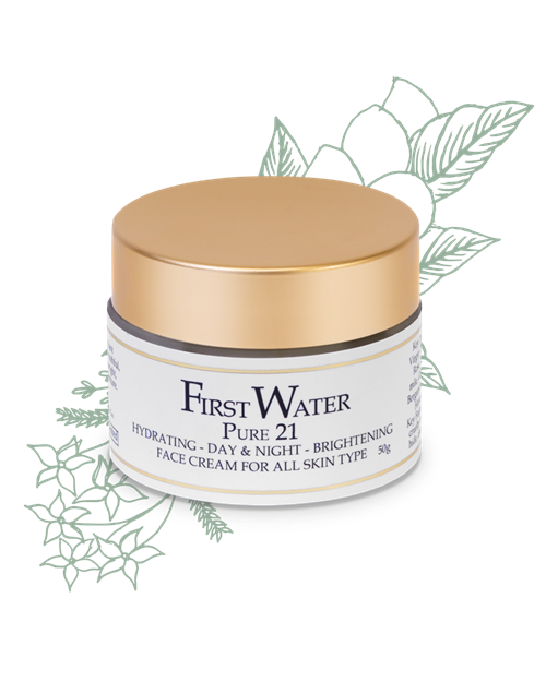 https://cdn.shopify.com/s/files/1/1857/6931/products/FirstWaterPure21FaceCream2.png?v=1625291975