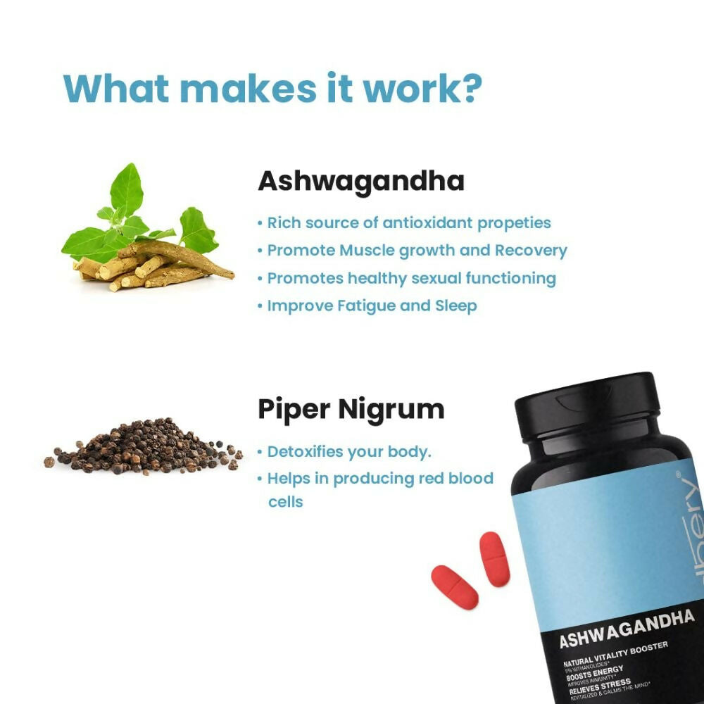https://cdn.shopify.com/s/files/1/1857/6931/files/FnCqGX2WsR.jpg?v=1716621920