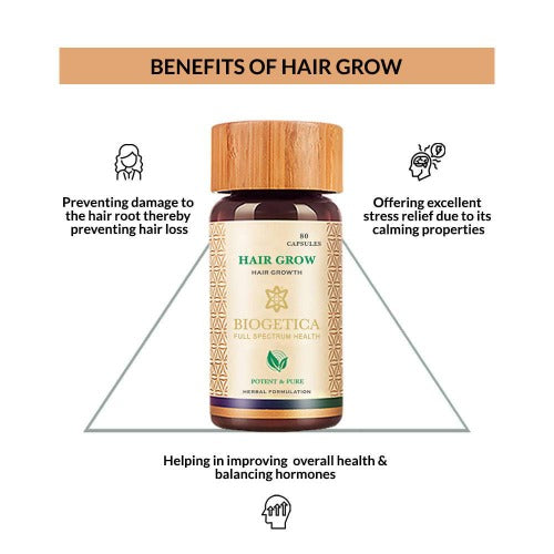 https://cdn.shopify.com/s/files/1/1857/6931/products/FpLeMFtMVU.jpg?v=1623922260