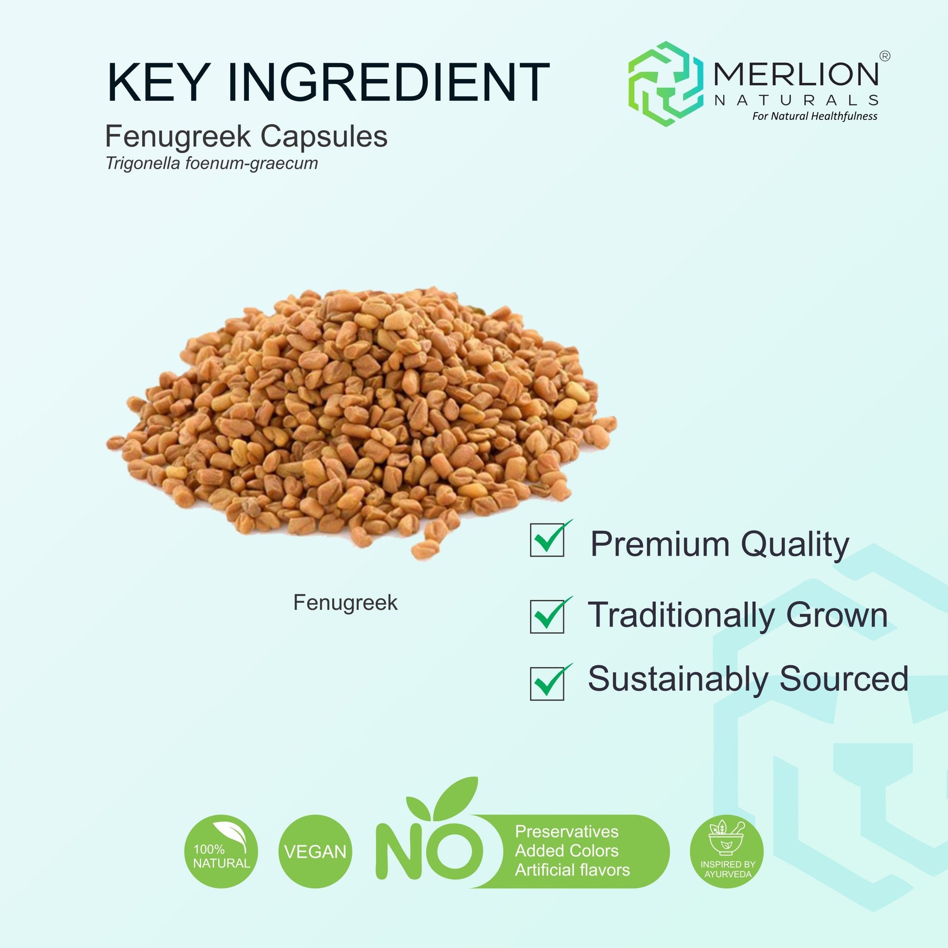 https://cdn.shopify.com/s/files/1/1857/6931/files/Frenugreek_Capsules_6.jpg?v=1780579730
