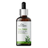 https://cdn.shopify.com/s/files/1/1857/6931/files/FtABKYbTfe-836802.jpg?v=1762422238