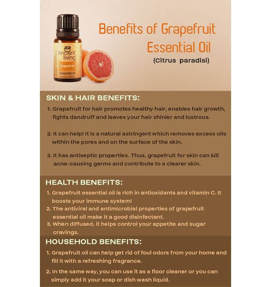 https://cdn.shopify.com/s/files/1/1857/6931/files/FxZa46Zvbt-622436.jpg?v=1736147456