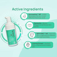 https://cdn.shopify.com/s/files/1/1857/6931/products/Fxzz3q1Dza.jpg?v=1699078142