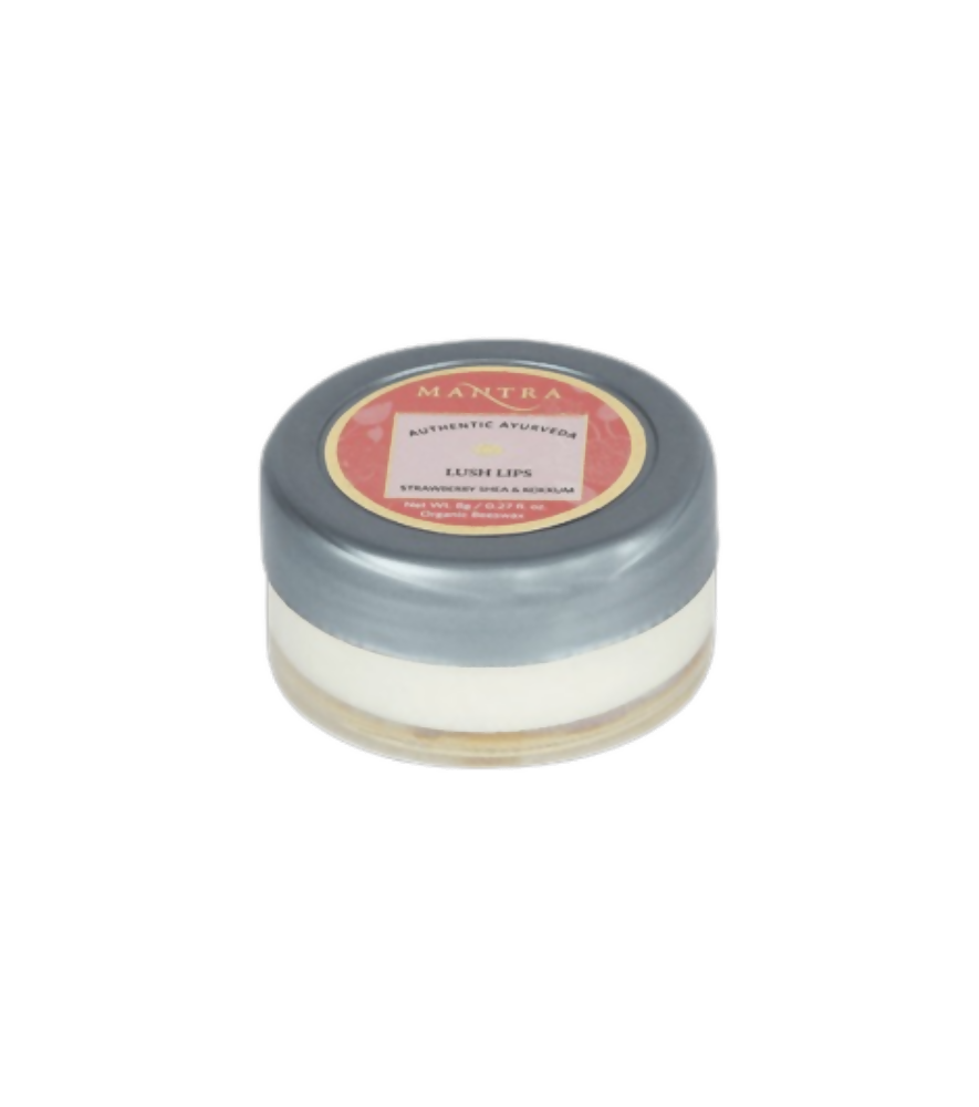 https://cdn.shopify.com/s/files/1/1857/6931/products/FzkiCdUYFd.png?v=1691149514