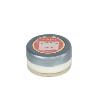 https://cdn.shopify.com/s/files/1/1857/6931/products/FzkiCdUYFd.png?v=1691149514