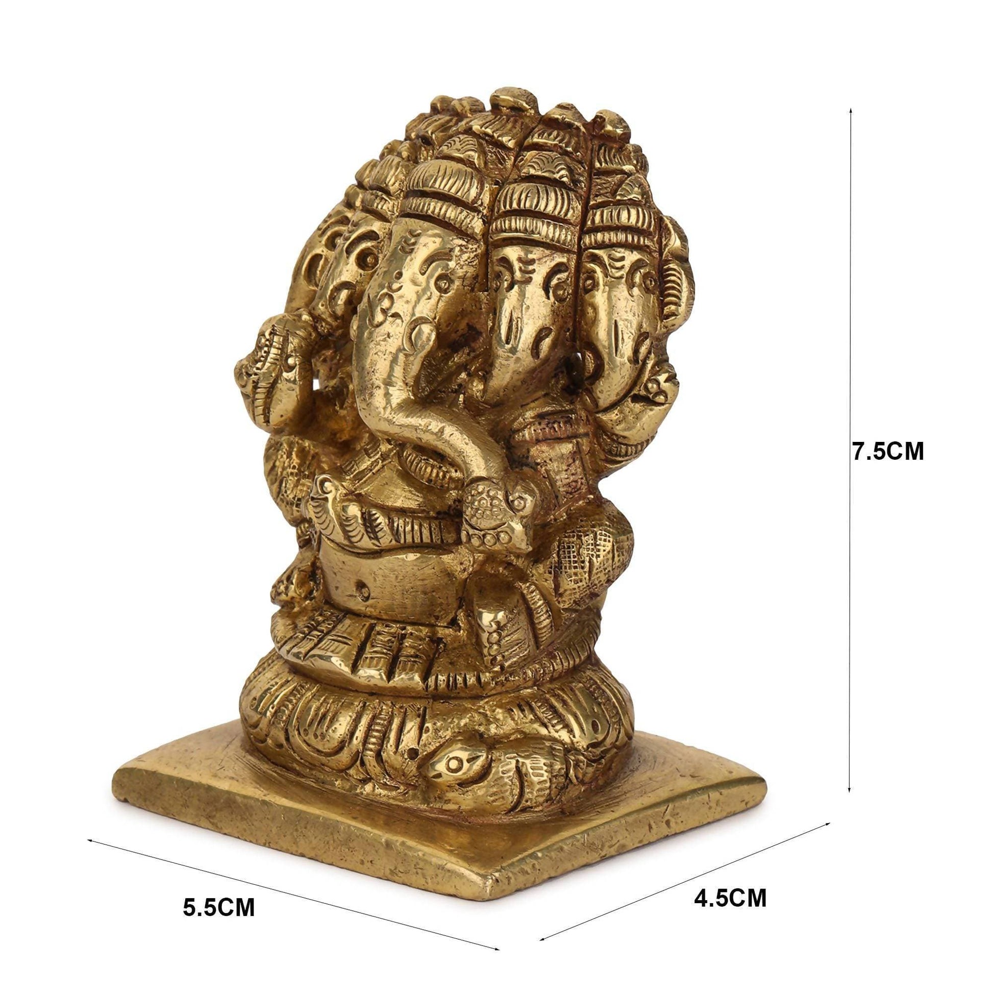 https://cdn.shopify.com/s/files/1/1857/6931/products/G2jEQIiFLn.jpg?v=1613911207