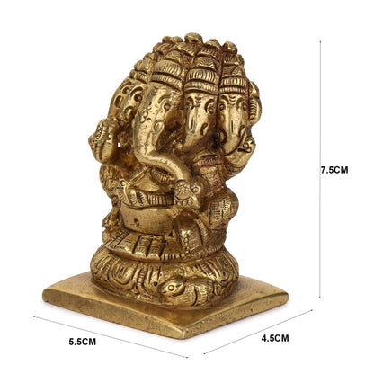 https://cdn.shopify.com/s/files/1/1857/6931/products/G2jEQIiFLn.jpg?v=1613911207