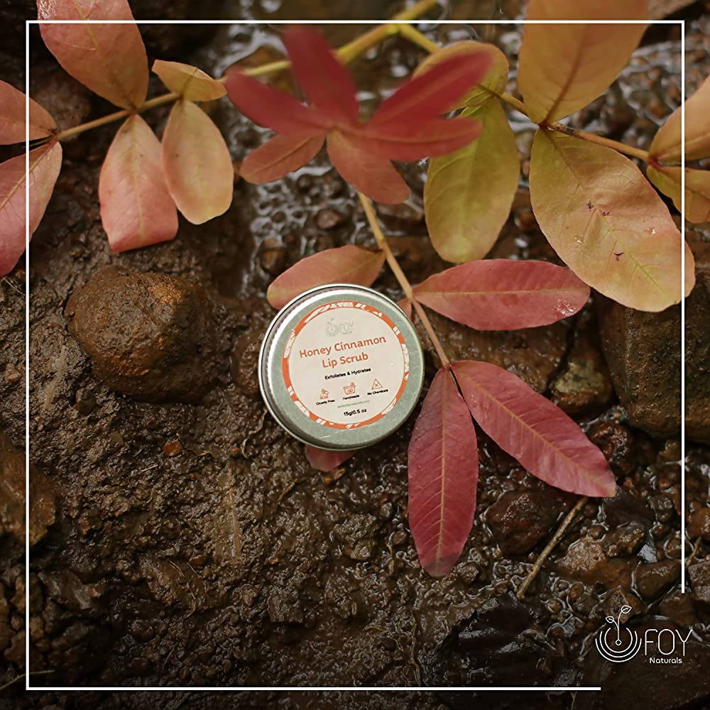 https://cdn.shopify.com/s/files/1/1857/6931/products/G3gWazEOae.jpg?v=1649322827