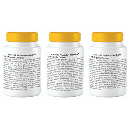 https://cdn.shopify.com/s/files/1/1857/6931/products/G7eHa98seD.jpg?v=1616120834