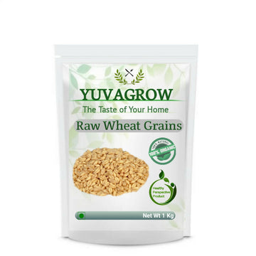 https://cdn.shopify.com/s/files/1/1857/6931/products/G8AgW4Zc4e.jpg?v=1762374124