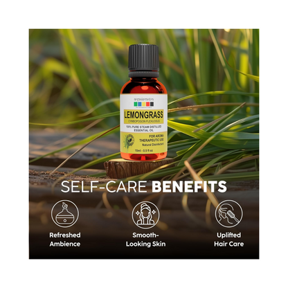 https://cdn.shopify.com/s/files/1/1857/6931/files/G9lJOyOrG8.png?v=1723114127