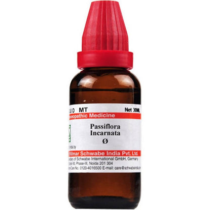 https://cdn.shopify.com/s/files/1/1857/6931/products/GAqEicvNB8.jpg?v=1616120906