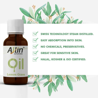 https://cdn.shopify.com/s/files/1/1857/6931/files/GBH10dTxSO-763331.jpg?v=1736146565