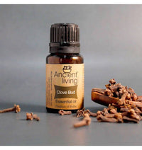 https://cdn.shopify.com/s/files/1/1857/6931/files/GDNlDJ8Mi9-759109.jpg?v=1736147455