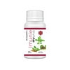 https://cdn.shopify.com/s/files/1/1857/6931/products/GEUfrCoLfx.png?v=1695885954