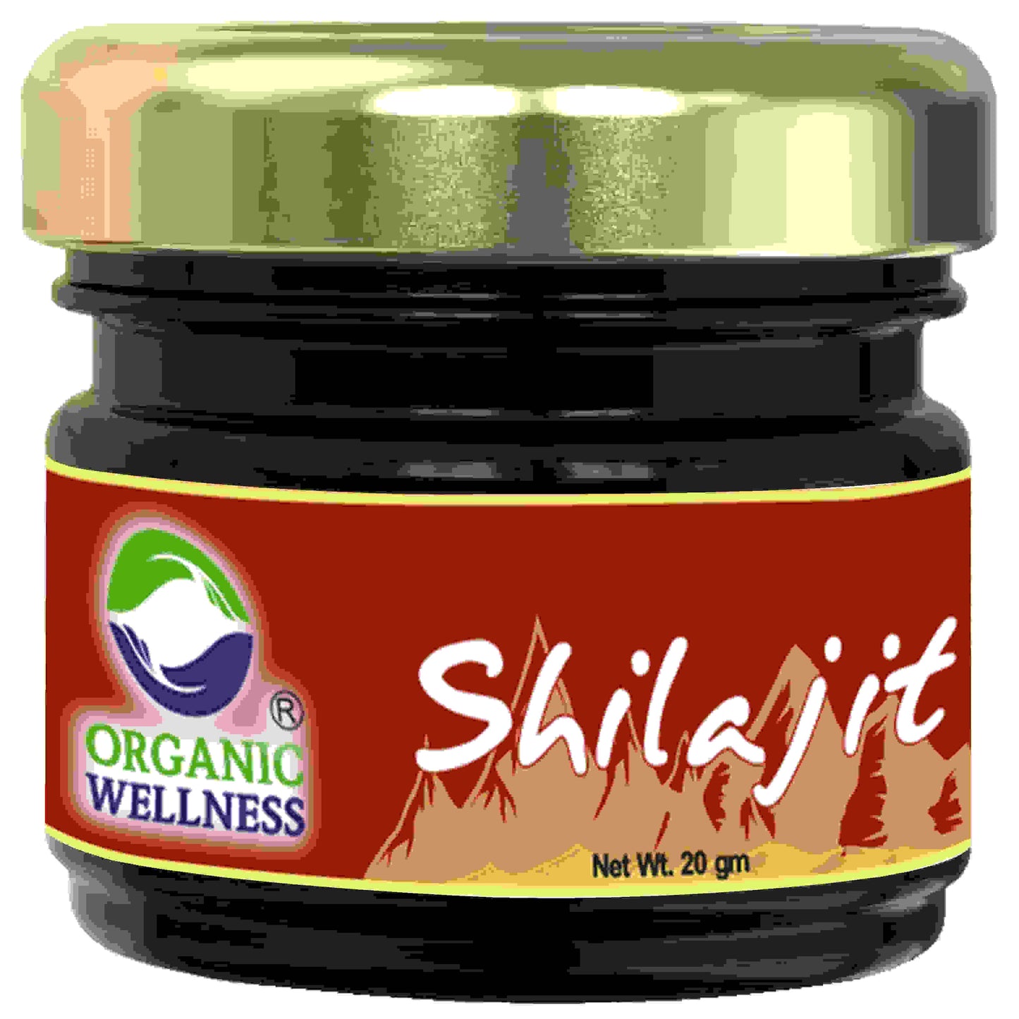 https://cdn.shopify.com/s/files/1/1857/6931/products/GEhADelUpx.jpg?v=1762392771
