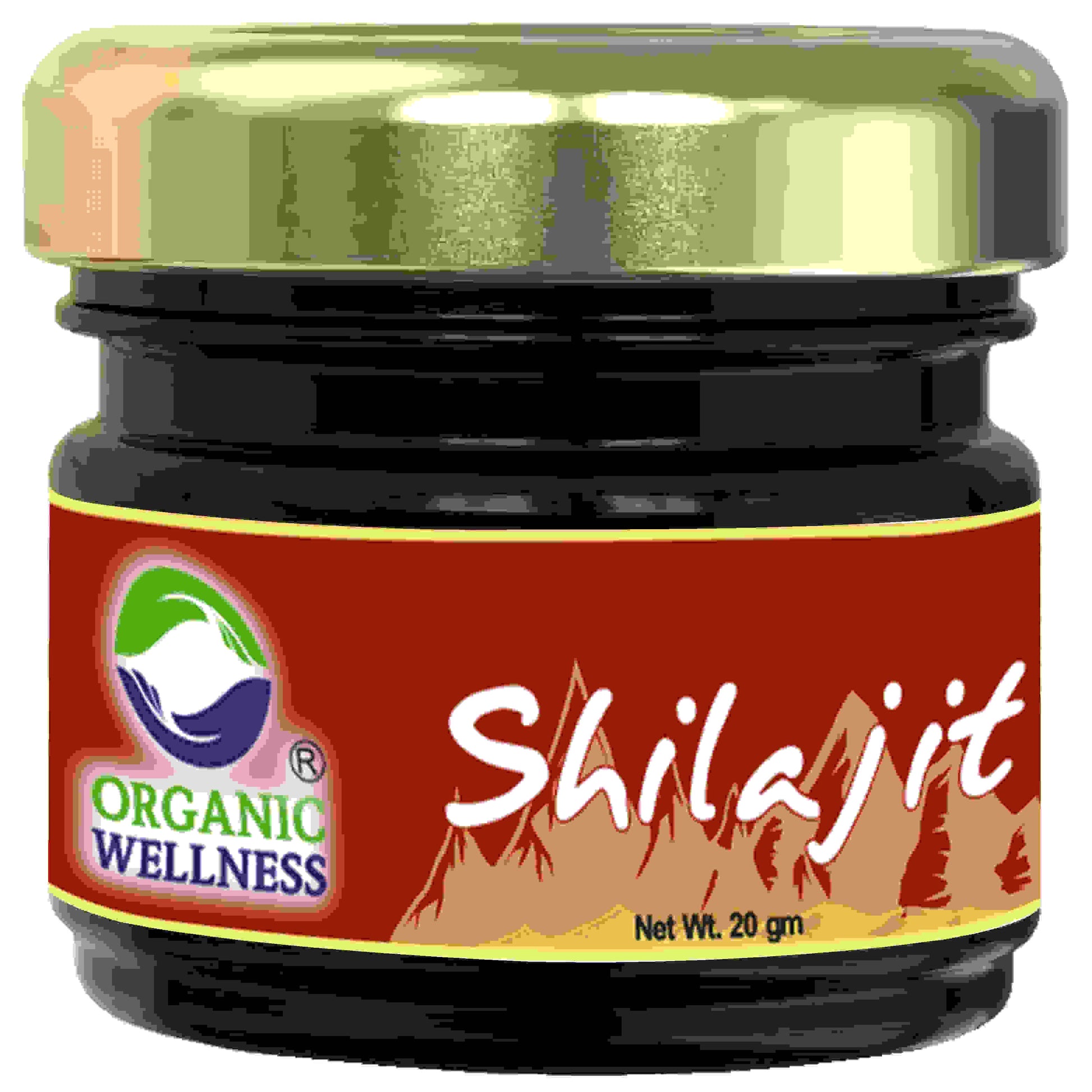 https://cdn.shopify.com/s/files/1/1857/6931/products/GEhADelUpx.jpg?v=1762392771