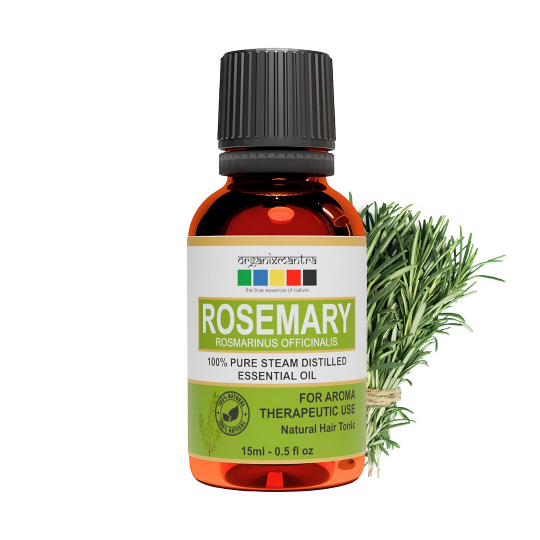https://cdn.shopify.com/s/files/1/1857/6931/files/GEhr5eifGD.png?v=1723114265