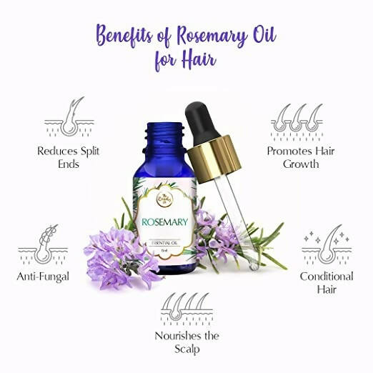 https://cdn.shopify.com/s/files/1/1857/6931/products/GFbwNQh6Jq.jpg?v=1662100346