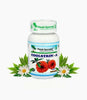 https://cdn.shopify.com/s/files/1/1857/6931/products/GGuvKTJWn0.jpg?v=1762350896