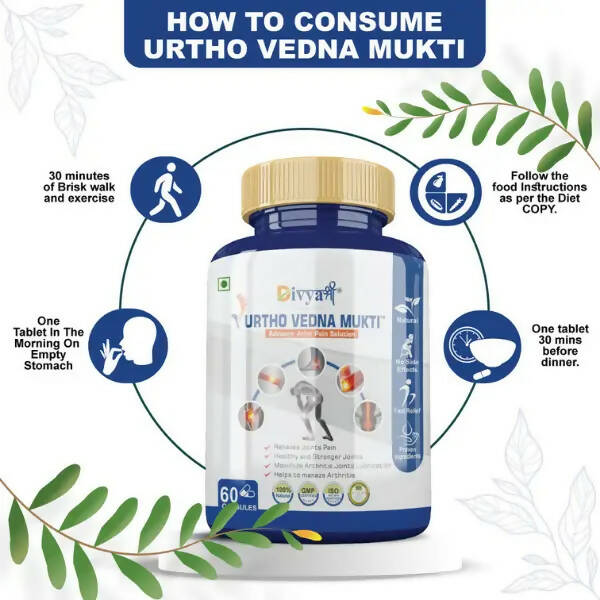 https://cdn.shopify.com/s/files/1/1857/6931/products/GJSCJog3uP.jpg?v=1672209973