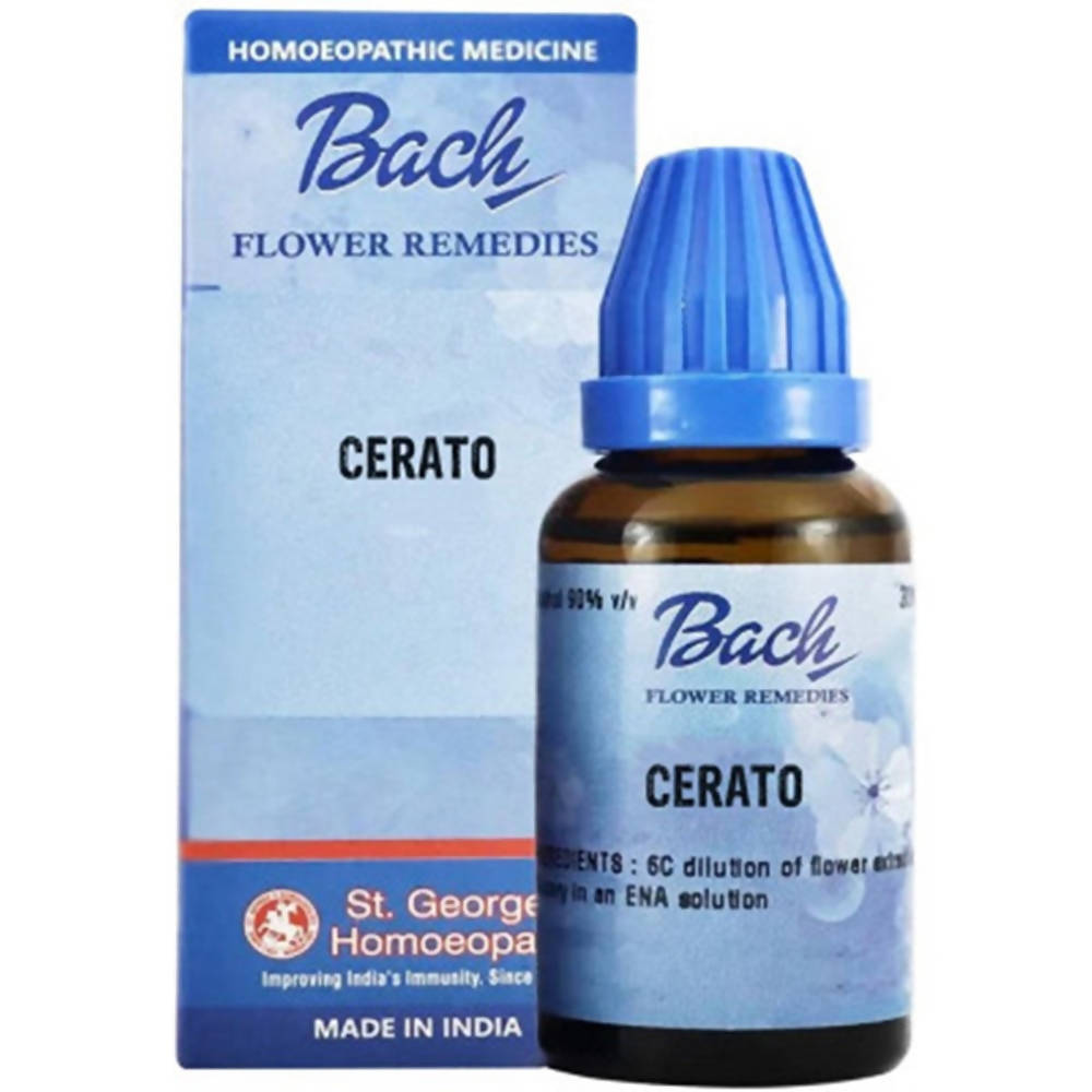 https://cdn.shopify.com/s/files/1/1857/6931/products/GJrldyibYF.jpg?v=1647418482