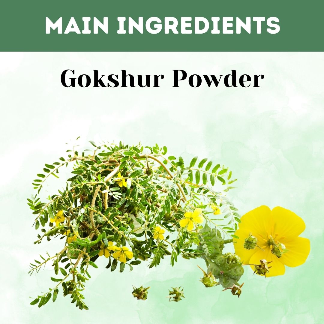 https://cdn.shopify.com/s/files/1/1857/6931/files/GK924-2_1_523dd072-0a36-4a5c-b846-cefa0beb20f5.jpg?v=1760172834