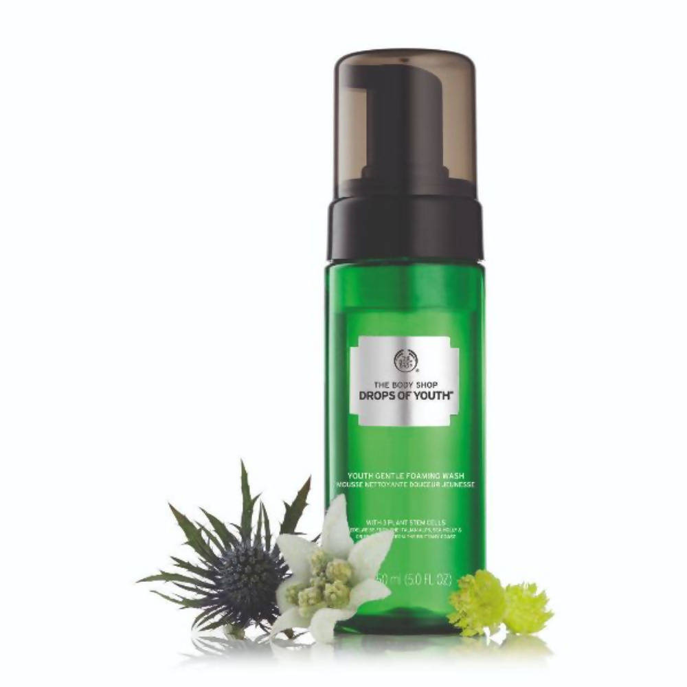 https://cdn.shopify.com/s/files/1/1857/6931/products/GKgoBUZs6h.jpg?v=1629361212