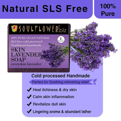 https://cdn.shopify.com/s/files/1/1857/6931/products/GNg98wU1dG.jpg?v=1614911324