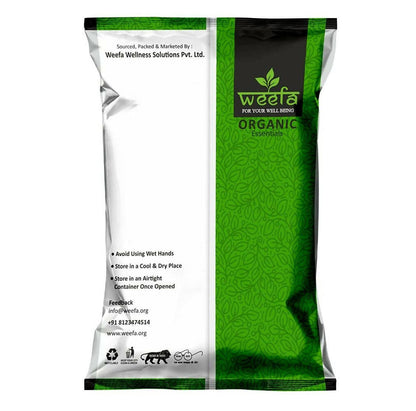 https://cdn.shopify.com/s/files/1/1857/6931/products/GNqvzB8JSZ.jpg?v=1669985281