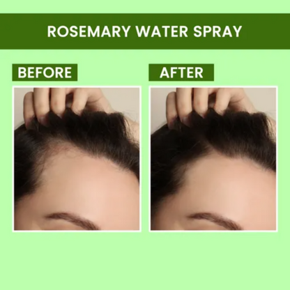 https://cdn.shopify.com/s/files/1/1857/6931/files/GOmHp5emqK.png?v=1769600605