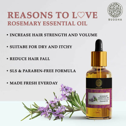 https://cdn.shopify.com/s/files/1/1857/6931/products/GOuXJ6FYuL.jpg?v=1702548519