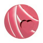 https://cdn.shopify.com/s/files/1/1857/6931/files/GPD0WZnRkK.png?v=1731934988