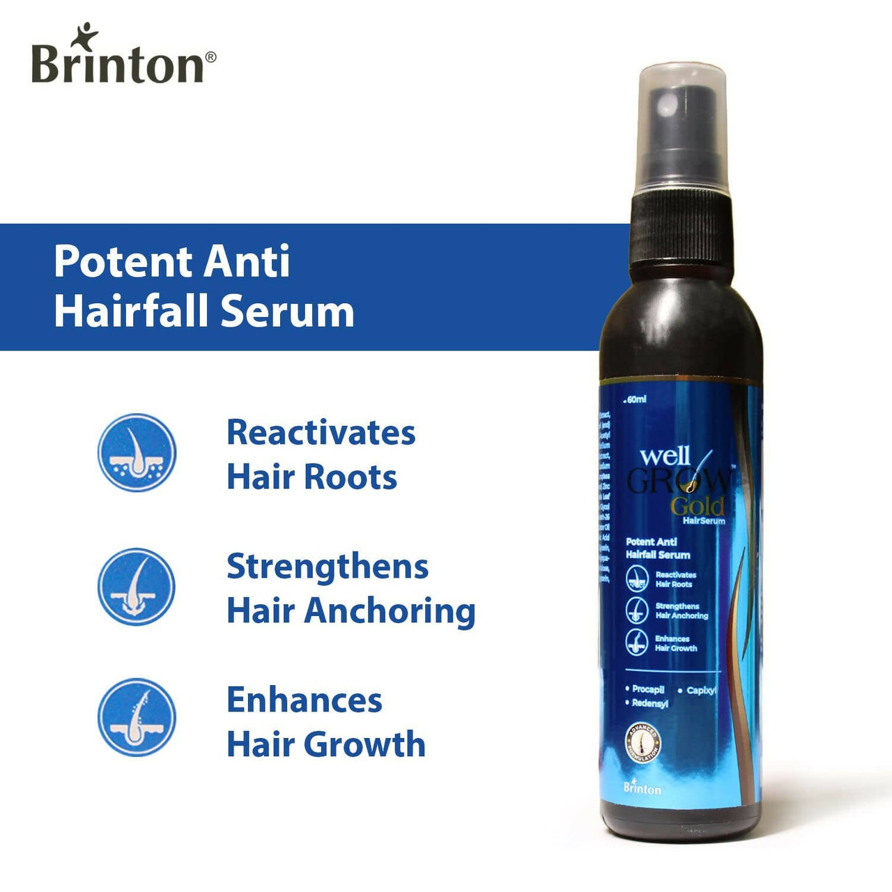 https://cdn.shopify.com/s/files/1/1857/6931/products/GPPP307c1v.jpg?v=1674798397