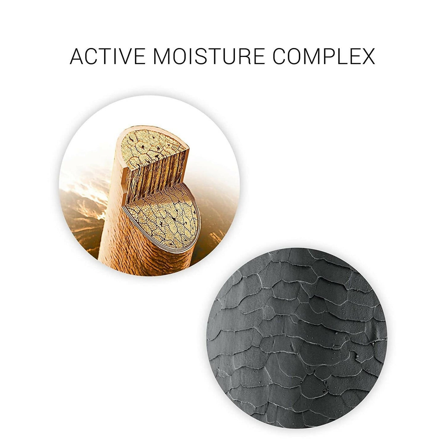 https://cdn.shopify.com/s/files/1/1857/6931/products/GRRda5v28z.jpg?v=1666866732