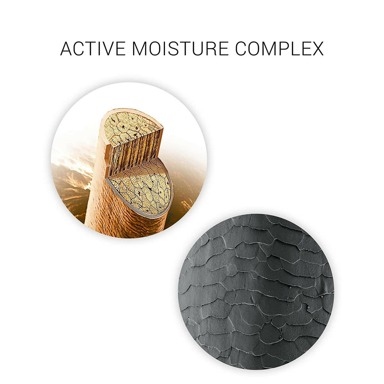 https://cdn.shopify.com/s/files/1/1857/6931/products/GRRda5v28z.jpg?v=1666866732