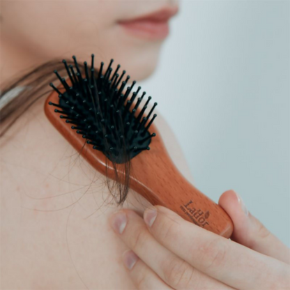 https://cdn.shopify.com/s/files/1/1857/6931/files/GSDKDji0OS.png?v=1767337482