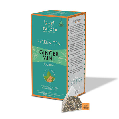 Image 3 of TEAFORA Ginger Mint Green Tea | 20 Count Pyramid Tea Bags